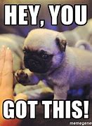 Image result for You Got It Dog Meme