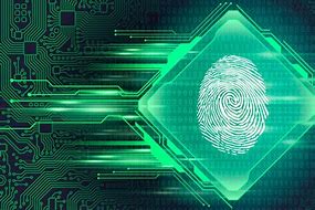 Image result for Portable Fingerprint Scanner