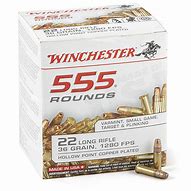 Image result for 22 Caliber Ammo