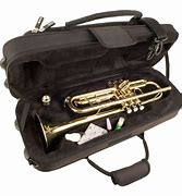 Image result for Protec Hard Trumpet Case