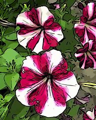 Image result for Printable Flower Art