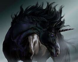 Image result for Black Unicorn