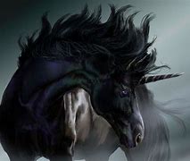 Image result for Male Black Unicorn