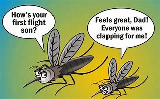 Image result for Father Mosquito