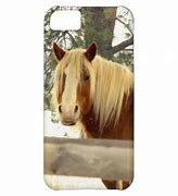 Image result for iPhone 5C Cases for Horse