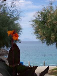 hotel il gabbiano capo vaticano casa club ferienanlage il gabbiano am capo vaticano mit hotel il gabbiano capo vaticano casa club ferienanlage il gabbiano am capo vaticano mit
