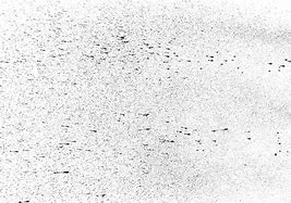 Image result for Noise Grain PNG Fast-forward