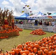 Image result for Pumpkin Patches in Florida