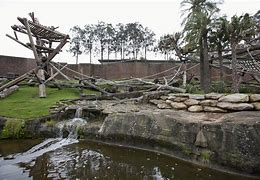 Image result for Small Zoo Enclosure