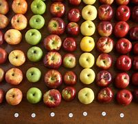 Image result for All Apple Food