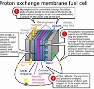 Image result for Polymer Electrolyte Membrane Fuel Cell