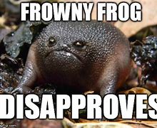 Image result for Disapproving Frown Meme