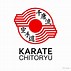 Image result for Karate Logo Orange PNG