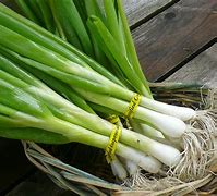 Image result for Sack of Onions