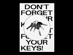 Image result for Hey Hey You Forgot to Leave the Keys Cat Meme