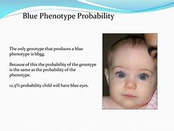 Image result for Homozygous Recessive Individual