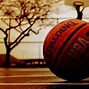 Image result for NBA Regular Season 82 Games