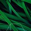 Image result for iPhone Wallpaper Nature OLED
