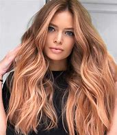 Image result for Rose Gold Hair for Ends