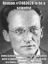 Image result for Meme Schrodinger Timesheet