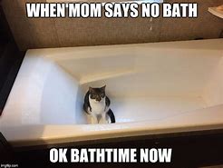 Image result for Cat Meme Bathtub
