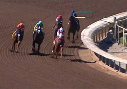 Image result for Santa Anita Replay Show