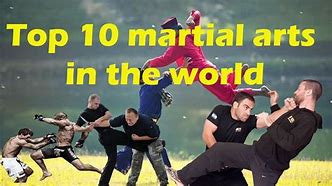 Image result for 10 Most Effective Martial Arts
