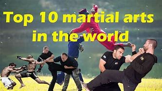 Image result for The Best Martial Arts in the World