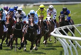 Image result for Horse Race Close Finish