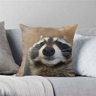 Image result for Raccoon in a Blanket Sad Meme