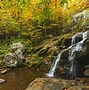 Image result for Pennsylvania Fall Foliage Road Trip
