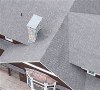 Image result for Roof Cricket