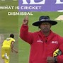 Image result for Types of Out in Cricket