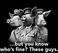 Image result for Pig War Meme