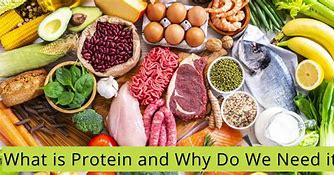 Image result for Why Do We Need Protein Poster