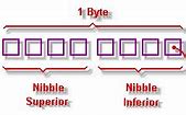 Image result for Nibble Bits 10