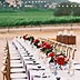 Image result for Banquet Dinner Table