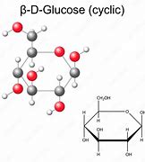 Image result for Beta Glucose Structure