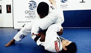 Image result for Brazilian Jiu-Jitsu Belt