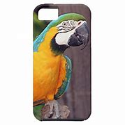 Image result for Bird iPhone Case 5S eBay