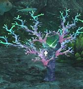 Image result for Ruby Coral FFXIV