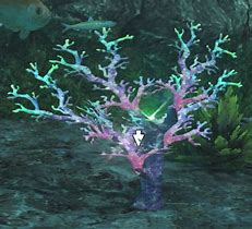 Image result for Ruby Coral FFXIV