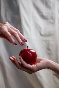 Image result for Person Holding Fruit