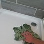 Image result for How To Clean Walk In Shower