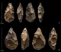 Image result for Crude Stone Tools