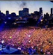 Image result for Live in Concert at Lollapalooza