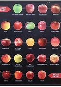 Image result for New York Apple's Varieties