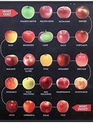 Image result for Apple Varieties for Allergy