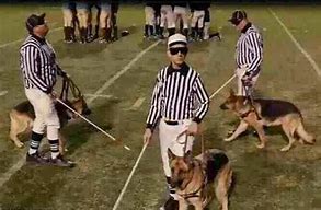 Image result for Funny NFL Refs