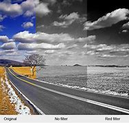 Image result for Color Filter Photography